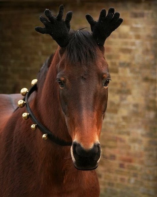 [Kép: pic67852.jpg]