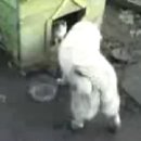 Kattints a képre!