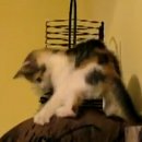 Kattints a képre!