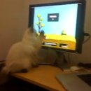 Kattints a képre!