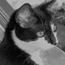 Kattints a képre!