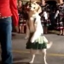 Kattints a képre!