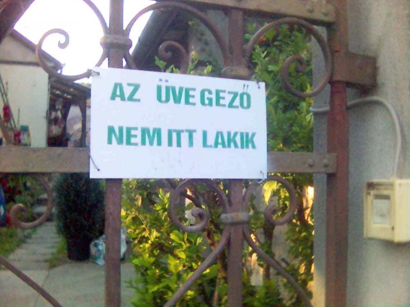 Üvegező