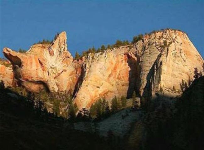 Macska