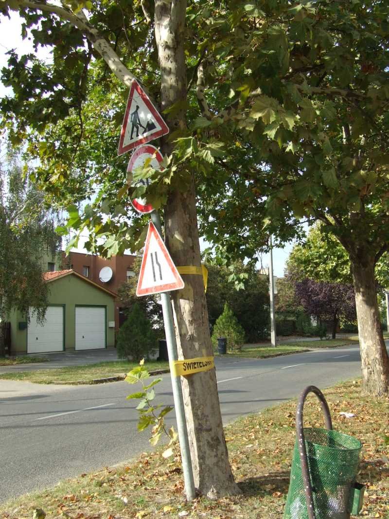 Ki ne Dőljön