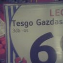 Tesgo gazadaságos lego
