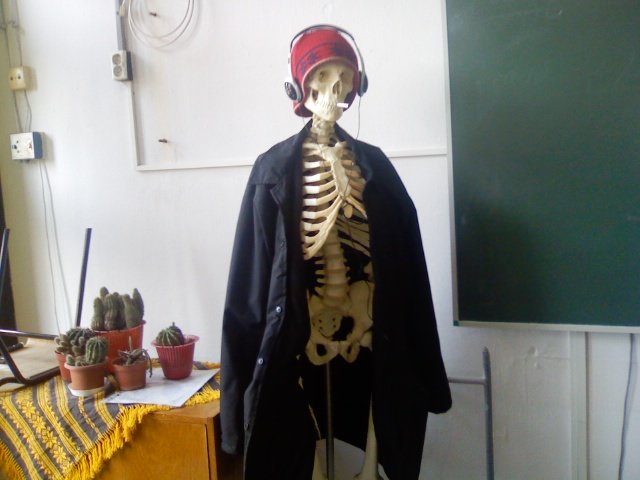 Samu