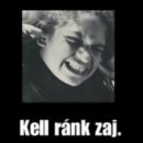 Magyar-finn nyelvi rokonság