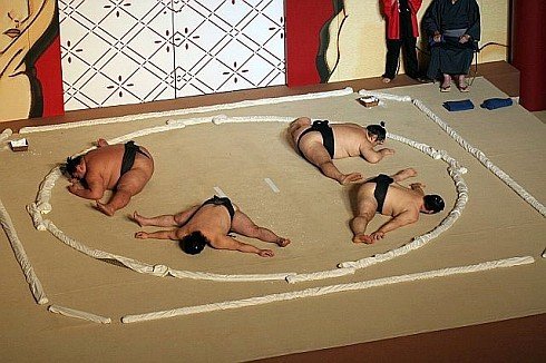 Sumo