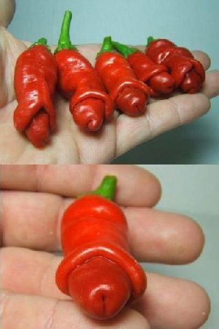 Paprika