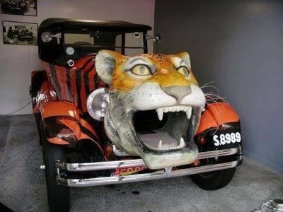 Tigris