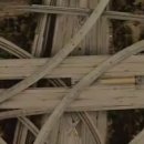 A világ autók nélkül