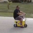 Motorizált hűtőláda 