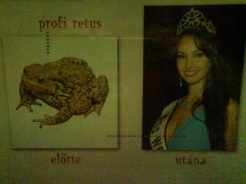 Retus