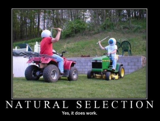 Természetes szelekció