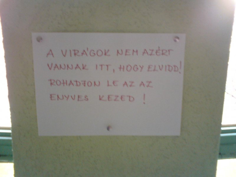 Egy dombóvári lépcsőházban