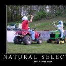 Természetes szelekció