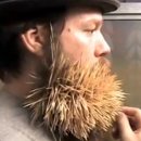 Csúcsteljesítmény