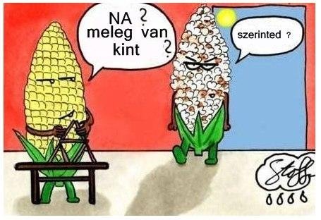 Kukorica