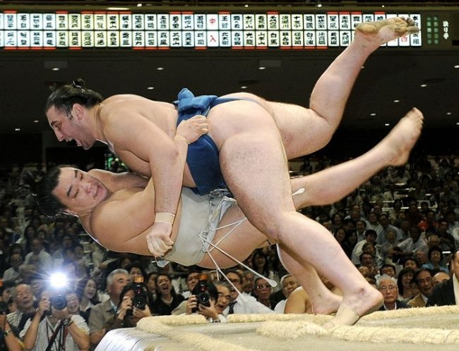 Sumo