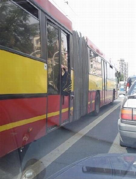 Buszon