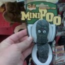 Mini Poo