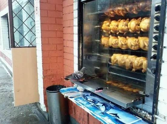 Grill
