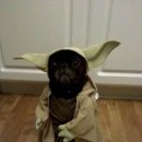 Yoda