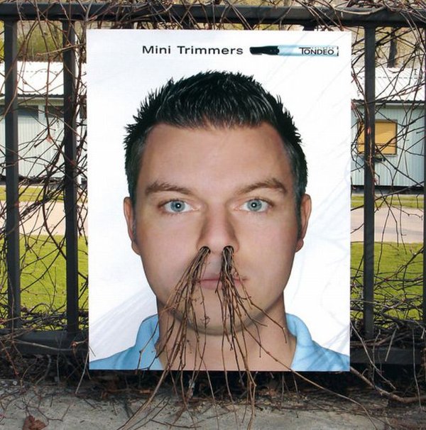 Plakát