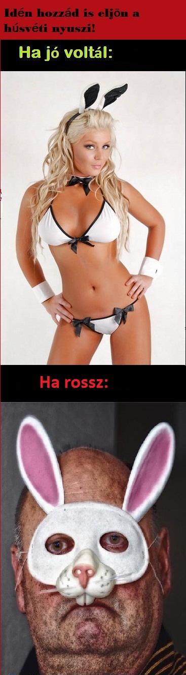 Húsvét