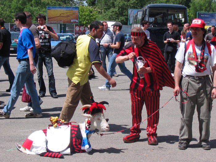 Szurkoló