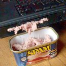Spam