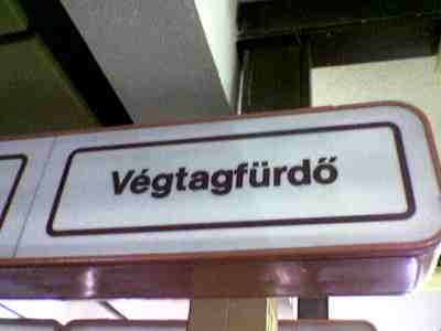 Végtag