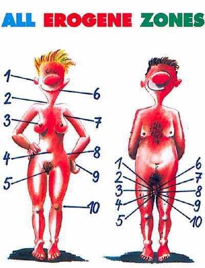 A férfi és a nő erogén zónái