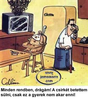 A vak férj