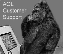 Technical support