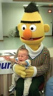 Bert