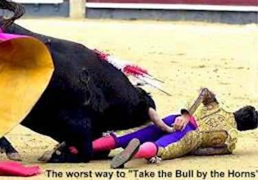Matador