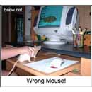 Rossz egér