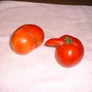 Paradicsom
