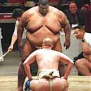 Sumo