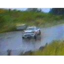 Rally